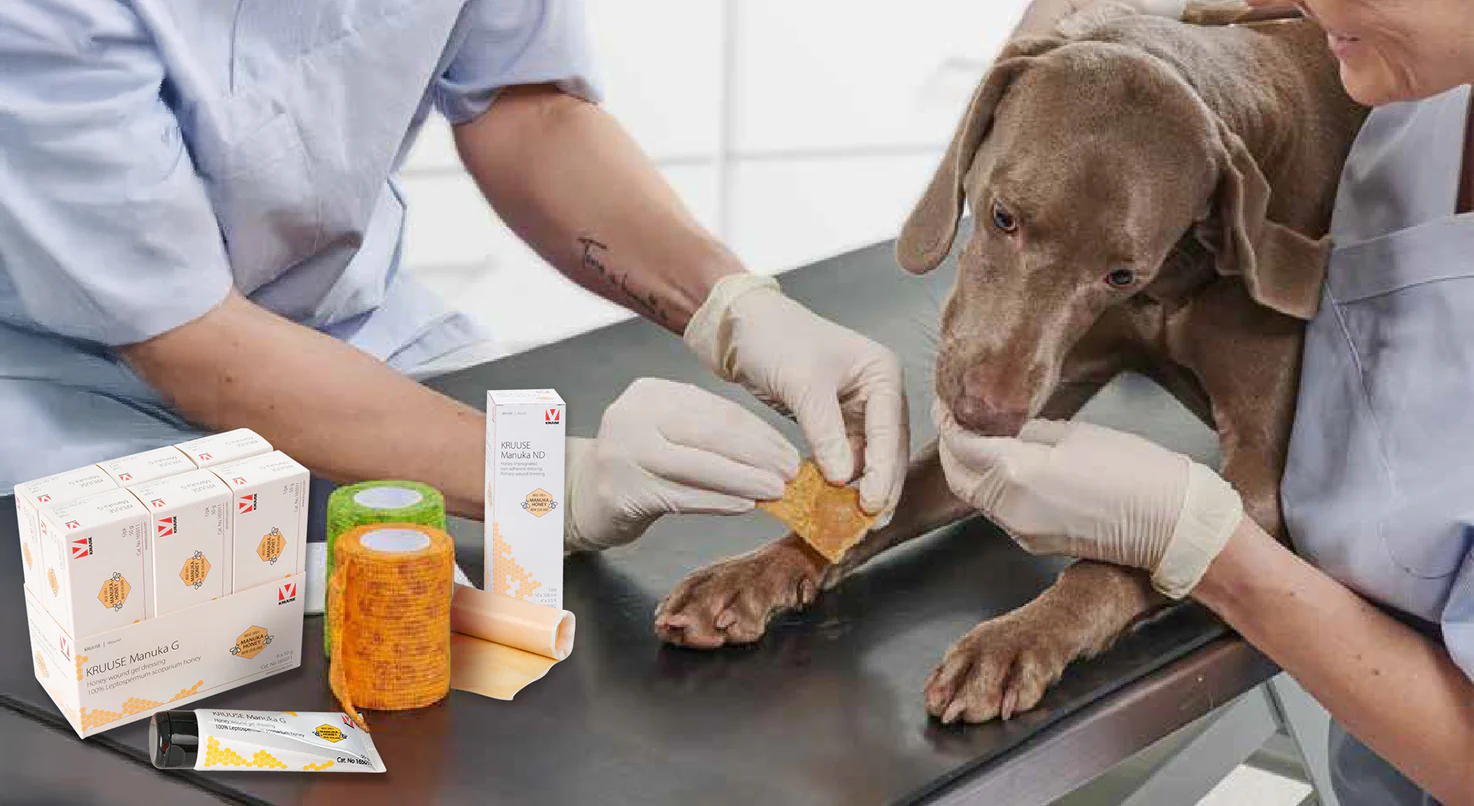 Curaciones de Lesiones